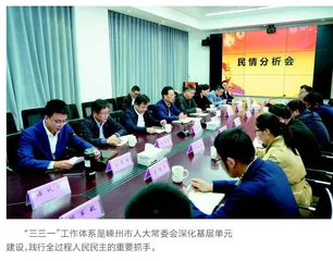嵊州：打通民主的末梢