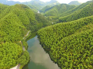 以“碳”为径  助推竹产业