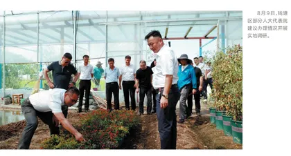 钱塘：“大赛马”撬动建议办理高质量