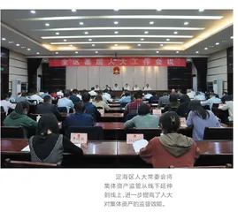 定海：镇街集体资产监督应用场景