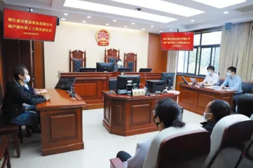司法聚力 齐奔共富
