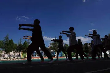 “丑小鸭”的生长2