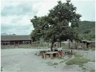 辽东边的人12