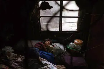 阿婆与“宝宝”8