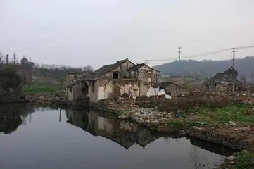 阿婆与“宝宝”9