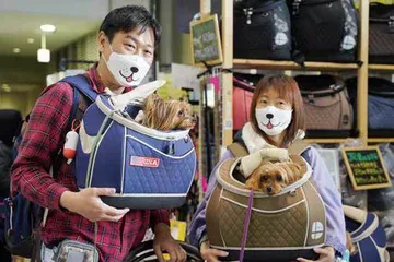 少子化与无法离婚的日本妻子们1