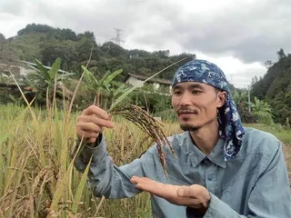 瓦依那乐队:哪段水域都不能代表这条河流1