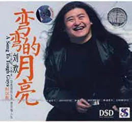 音乐家李海鹰月光流淌在珠江上3