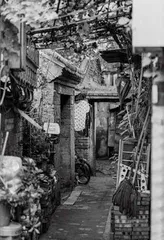我与白塔5