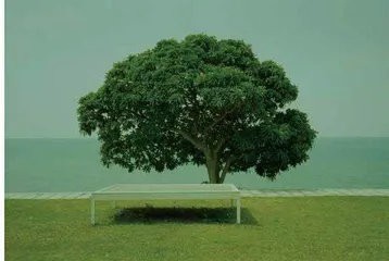 潜梦岛3