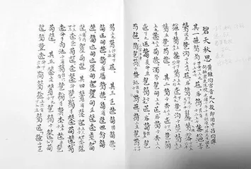 斫琴名家陈一民:“每张手工琴都独一无二”2