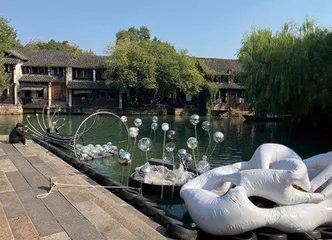在乌镇嘉年华寻找子期5