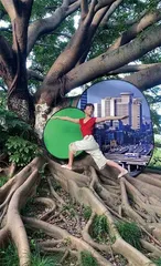 从画屏到绿幕屏风进化论3