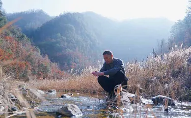 凤林关里水东流