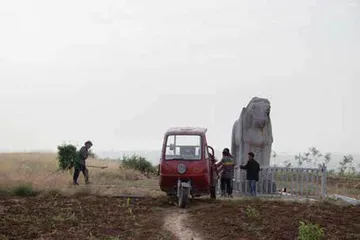 唐陵与村民6
