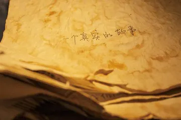 杨本芬:记住一个普通人的死亡2
