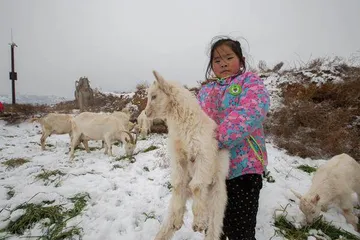 唐陵与村民10