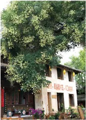 沙溪:人是自然的过客3
