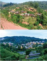 李小云:把城市的动能带到乡村1