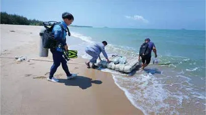 在海底,“植树造林”1