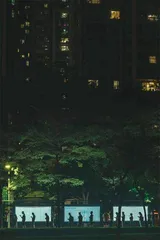 11月的城市6
