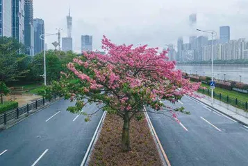 11月的城市9