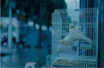 七月的背影6