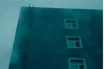 七月的背影7