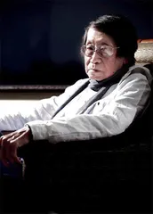张北海：天边一只孤燕，穿云而去