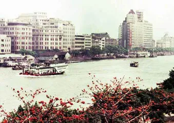 “鬼眼跑街”叶健强:一个老广横跨50年的街头摄影1