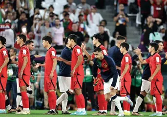 2022卡塔尔世界杯, 实现梦想的旅程3