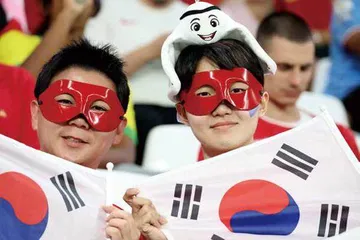 2022卡塔尔世界杯, 实现梦想的旅程7