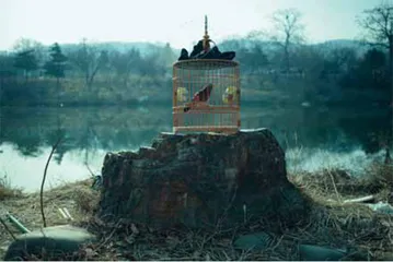 一个时代的漫长回声1