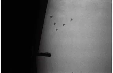 风中的凝视5