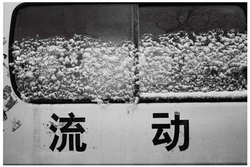 风中的凝视11