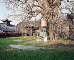 长安,来去匆匆6