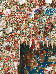 西雅图和波特兰自由的背面3