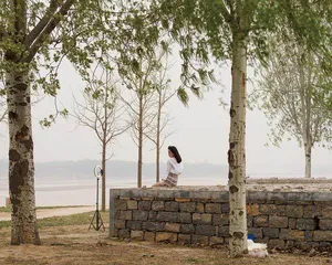 见山望水7