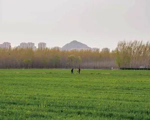 见山望水11