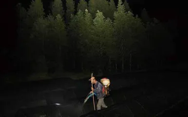 保卫白茶6