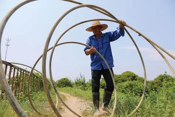 保卫白茶8