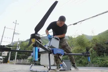 保卫白茶12