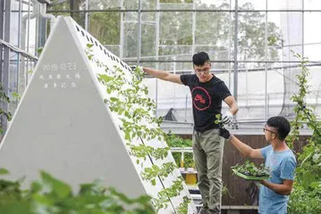 三名香港青年在大湾区建起农业“梦工厂”7