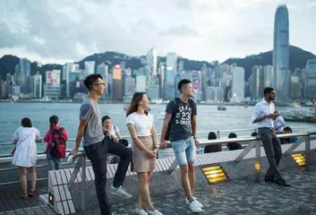 三名香港青年在大湾区建起农业“梦工厂”8