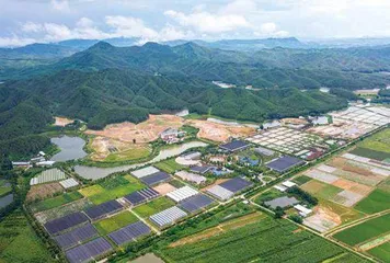 三名香港青年在大湾区建起农业“梦工厂”14