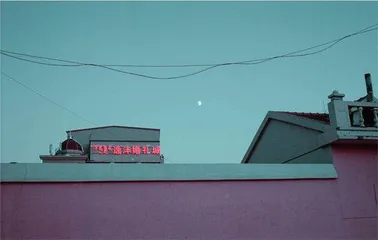 时间在树上沙沙作响4