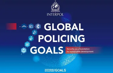 国际警务公共产品供给： 联合国——国际刑警组织模式