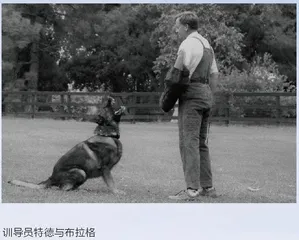 我的搭档“狼人”（中）