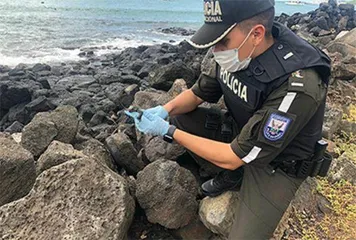 美洲警察组织