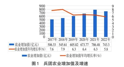 兵团全面推进乡村振兴问题研究 